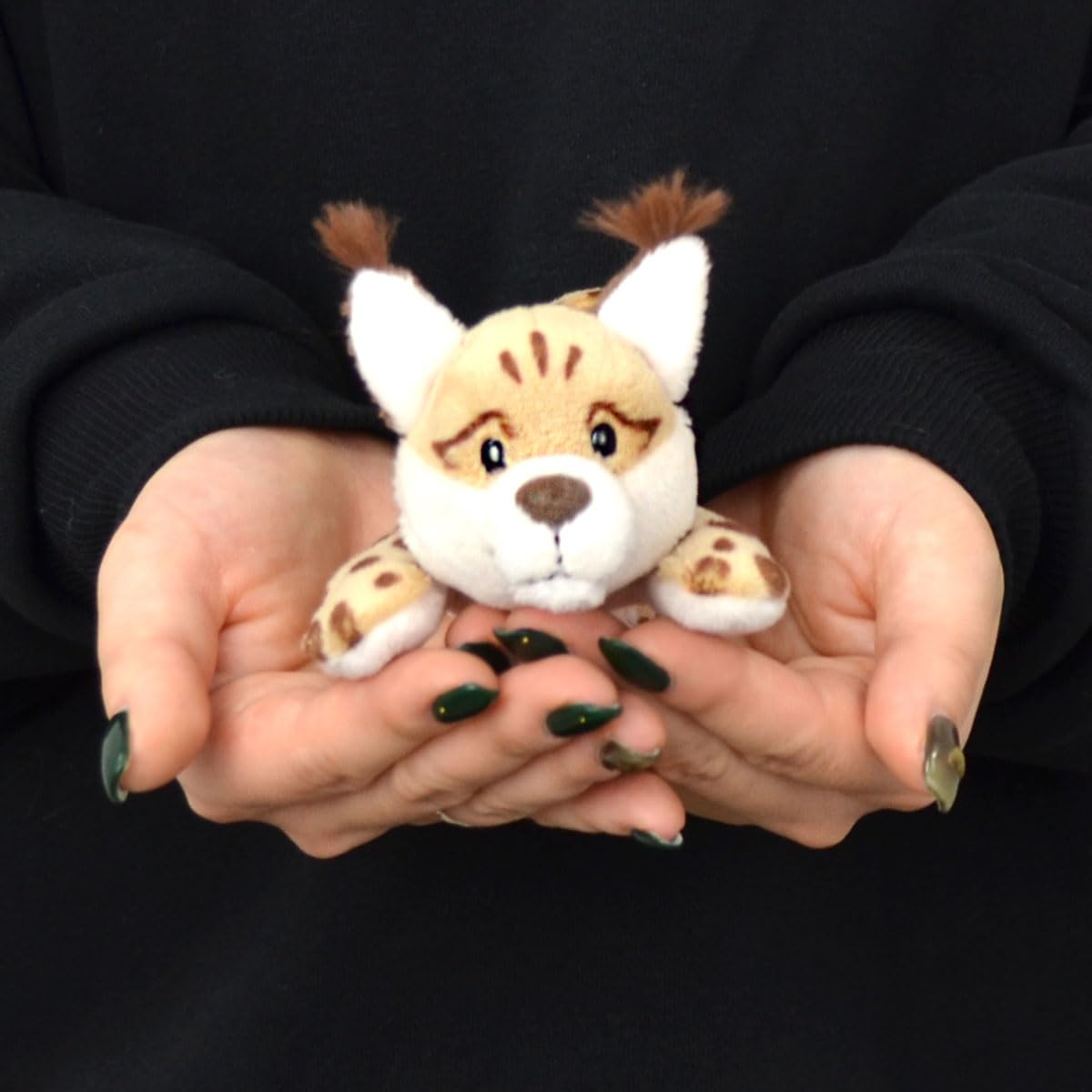 Amazon.co.jp: 【NICI】マグニキ WF24 オオヤマネコ ライカ 12
